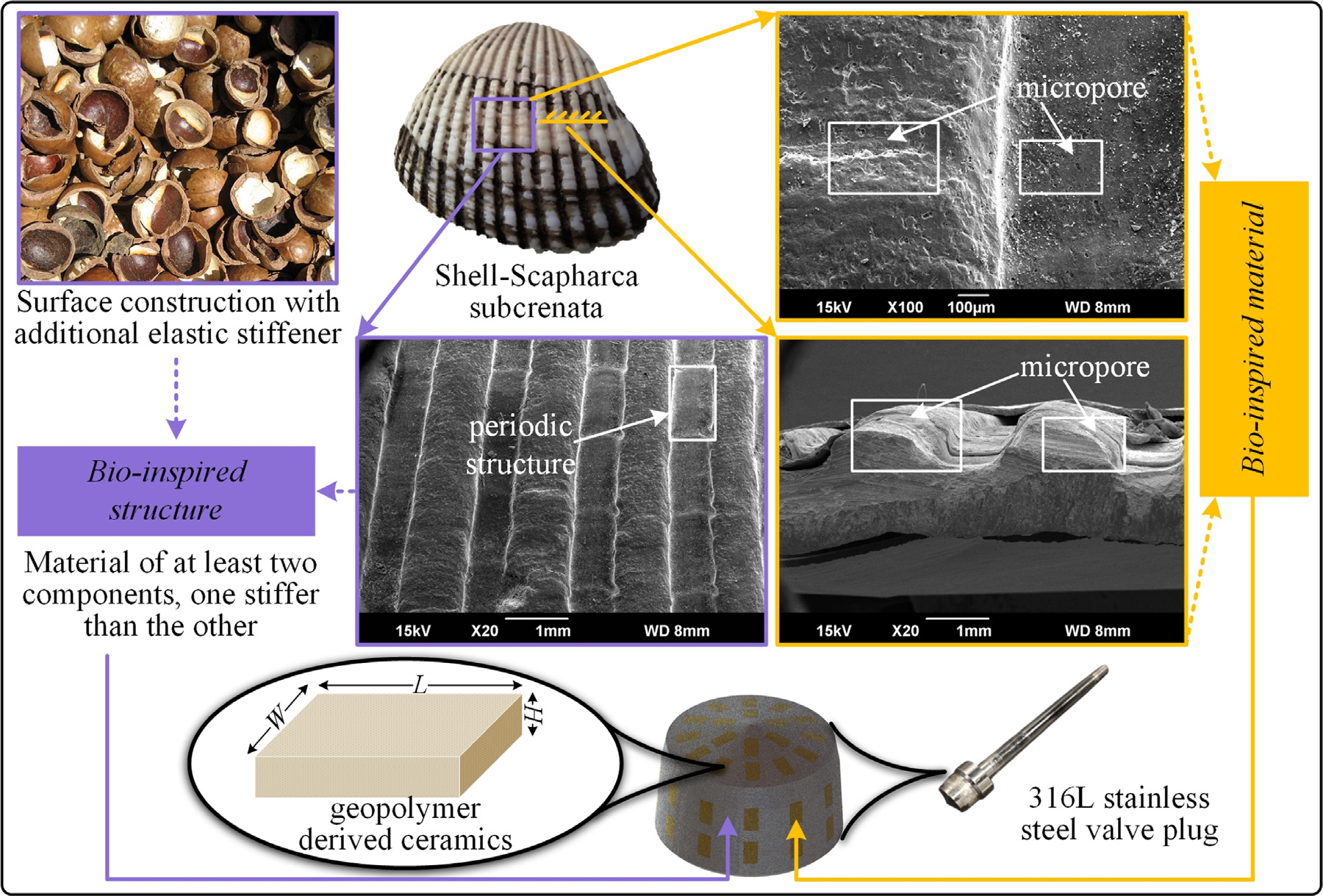 仿生水阀.png 仿生水阀.png