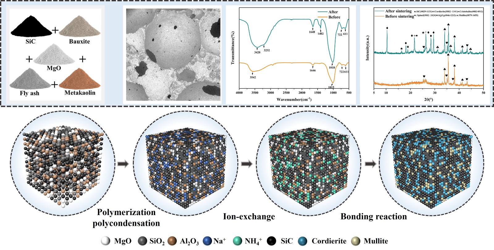 Graphical Abstract.jpg Graphical Abstract.jpg