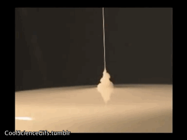 image17.gif