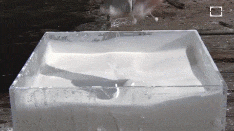 image20.gif